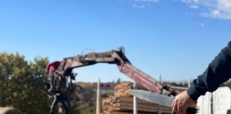 Gorj: Polițiștii din Novaci au confiscat peste 50 mc de lemn de foc