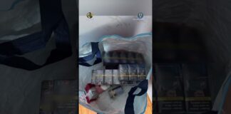 (VIDEO) Trafic de droguri în Gorj: 10 percheziții și 43 de mandate de aducere