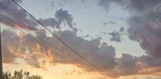 Gorj: Trei șoferi prinși în trafic pentru infracțiuni rutiere