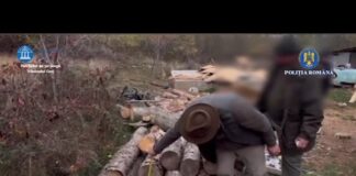 (VIDEO) Operațiunea „JUPITER” – Dosar penal pentru furtul a 8 metri cubi de material lemnos în comuna Polovragi