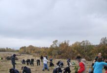 16:26 Mii de puieți de stejar, plantați într-o comună din Gorj blank