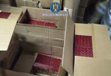 Peste 40 kg de articole pirotehnice confiscate de polițiști, în Târgu Jiu și Târgu Cărbunești