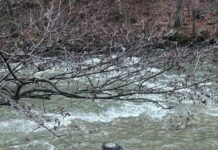 Gorj: Două persoane care au căzut cu maşina în Jiu, salvate de pompieri