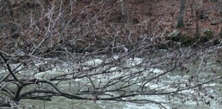 Gorj: Două persoane care au căzut cu maşina în Jiu, salvate de pompieri