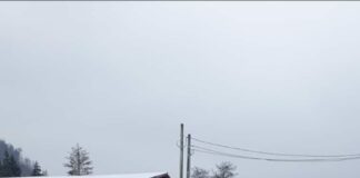 Gorj: Tânăr reținut la Novaci pentru furt de motorină și baterii auto