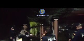 (VIDEO) Descoperire șocantă în județul Gorj: Tăiere ilegală de frasin creț, prejudiciu de 20.000 de lei