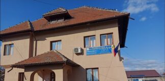 Angajat al Primăriei Drăguțești, reținut pentru purtare abuzivă