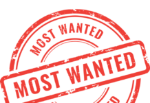 Urmăriți de peste un deceniu, prinși în Marea Britanie cu ajutorul polițiștilor gorjeni