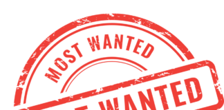 Urmăriți de peste un deceniu, prinși în Marea Britanie cu ajutorul polițiștilor gorjeni