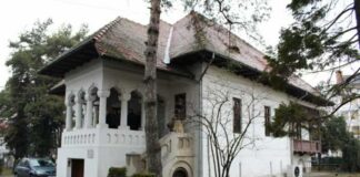 Anul Brâncuși se deschide, joi, la Muzeul Național „Constantin Brâncuși” din Târgu Jiu