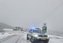 08:51 Ninge abundent la Rânca. Filtru la ieșirea din Novaci