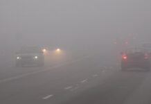 Ceață densă și polei în Oltenia