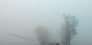 Cod galben de ceață în Oltenia