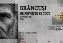 „Brâncuși ne privește pe toți” – o expoziție-eveniment la Târgu Jiu, la 150 de ani de la nașterea sculptorului