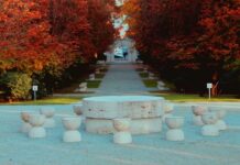 07:21 Târgu Jiu: Lucrări de 20 de milioane de euro în Parcul Central. În ce vor consta