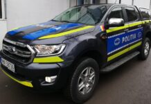 Gorj: Tată reținut după ce a ucis câinele fiului