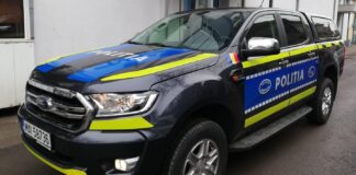 Gorj: Tată reținut după ce a ucis câinele fiului