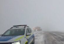 09:05 Ninge la Rânca