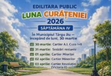 Luna curățeniei. Cartierele în care va interveni Edilitara, de luni