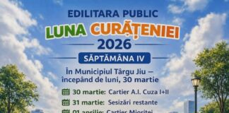 Luna curățeniei. Cartierele în care va interveni Edilitara, de luni