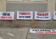 15:37 Federațiile din CE Oltenia, apel către Nicușor Dan: Vă solicităm intervenția urgentă!