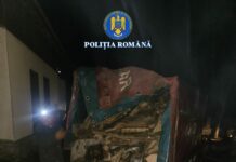 Gorj: Controale rutiere pe DC 22 și dosare penale pentru furt de arbori