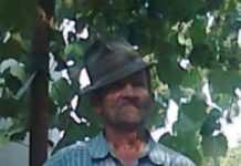 Gorj: Bărbat de 85 de ani dispărut din Bustuchin. Poliția cere ajutorul populației