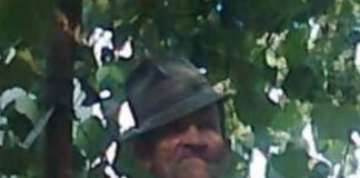 Gorj: Bărbat de 85 de ani dispărut din Bustuchin. Poliția cere ajutorul populației