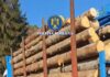 Mehedinți: Transport ilegal de lemn depistat la Baia de Fier: autoutilitară și aproape 15 mc de material lemnos, confiscate