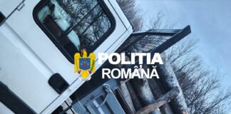 (VIDEO) Gorj: Depistat în flagrant cu transport ilegal de lemn de fag în comuna Săcelu