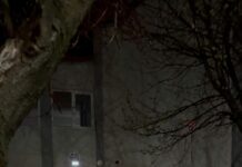 (VIDEO) Caz grav în Alunu-Vâlcea.Bărbat fără permis, cu mașină neînmatriculată, reținut