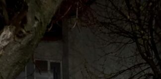 (VIDEO) Caz grav în Alunu-Vâlcea.Bărbat fără permis, cu mașină neînmatriculată, reținut