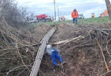 13:00 Tragedie la Jupânești. A murit strivit de un stâlp de electricitate