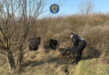 12:30 Bunuri furate, recuperate cu ajutorul câinelui de urmă Gica. Adolescent sub control judiciar