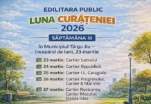 13:19 Luna curățeniei, săptămâna 3. Unde va interveni Edilitara