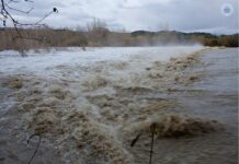 Cod portocaliu de inundații în Gorj și Mehedinți