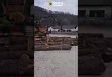 (VIDEO) Gorj: Bărbat sancționat pentru transport ilegal de lemne
