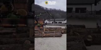 (VIDEO) Gorj: Bărbat sancționat pentru transport ilegal de lemne