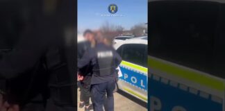 (VIDEO) Gorj: Doi tineri reținuți pentru furt calificat la Bălești: bunurile recuperate cu ajutorul câinelui de urmă Gica