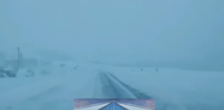 09:41 A nins la munte. Strat de peste 35 de centimetri în zona Novaci – Rânca