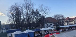 Organizarea de șantier blochează accesul în Muzeul Național ”Constantin Brâncuși”