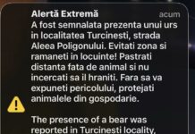 08:51 Mesaj RO-Alert privind prezența unui urs la Turcinești
