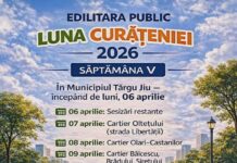 Luna curățeniei. Zonele în care va interveni Edilitara