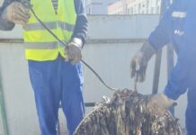 Târgujienii își aruncă deșeurile în canalizare. Aparegio amenință cu sancțiuni