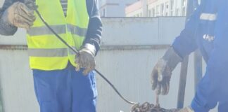 Târgujienii își aruncă deșeurile în canalizare. Aparegio amenință cu sancțiuni