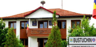 Comuna din Gorj cu cele mai multe parcuri fotovoltaice