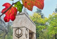 09:10 O singură zi în care poți vota destinațiile din Gorj pentru ”Destinația Anului 2026”