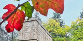 09:10 O singură zi în care poți vota destinațiile din Gorj pentru ”Destinația Anului 2026”