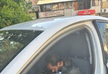 12:01 A adormit într-o mașină în care a intrat să fure