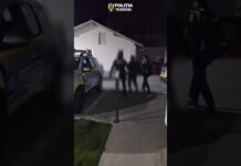(VIDEO) Bărbat reținut după ce și-a amenințat o consăteancă și i-a distrus ușa locuinței, în Baia de Fier